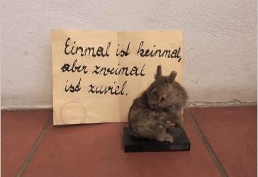 einmalist3