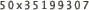 50x35199307
