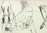 x19199512