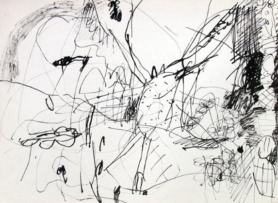 x24199529