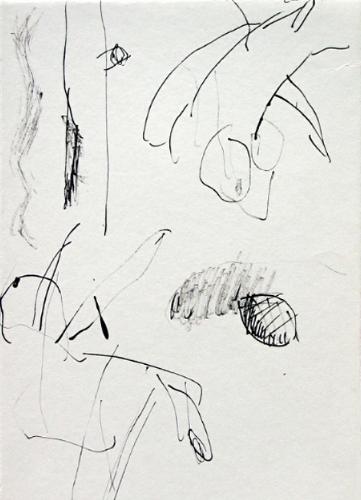 x25199527