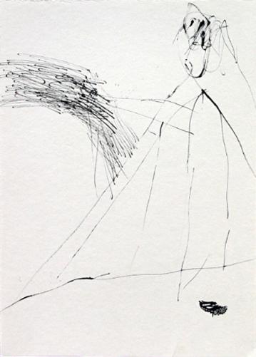 x25199529