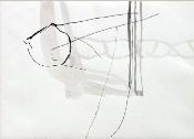 x25199916