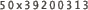50x39200313