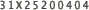 31X25200404