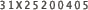 31X25200405