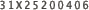 31X25200406
