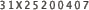 31X25200407
