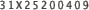 31X25200409