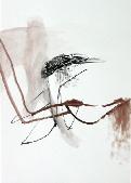 v35x25200416