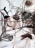 v48x35200412