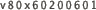 v80x60200601
