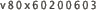 v80x60200603