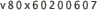 v80x60200607