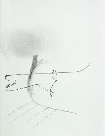 IMG6754