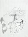 IMG6759