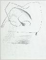 IMG6760