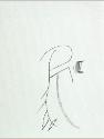 IMG6761