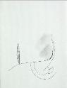 IMG6763