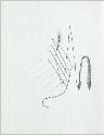 IMG6764