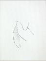 IMG6766