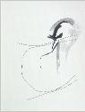 IMG6767