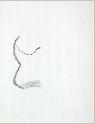 IMG6768