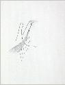 IMG6769