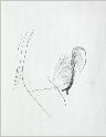 IMG6770