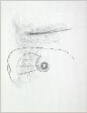 IMG6772