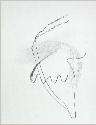 IMG6774