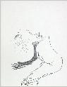 IMG6775
