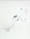 IMG6777