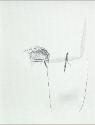 IMG6779