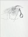 IMG6780