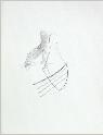 IMG6781