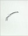 IMG6782