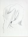 IMG6784