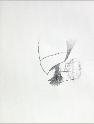 IMG6786