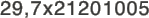 29,7x21201005