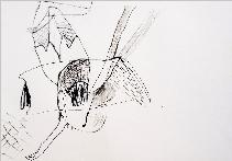 x297201039