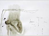 me47x35201422
