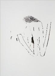 x297201835