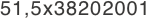 51,5x38202001