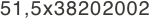 51,5x38202002