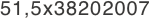 51,5x38202007