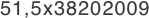 51,5x38202009