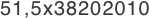 51,5x38202010