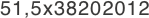 51,5x38202012