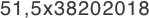51,5x38202018